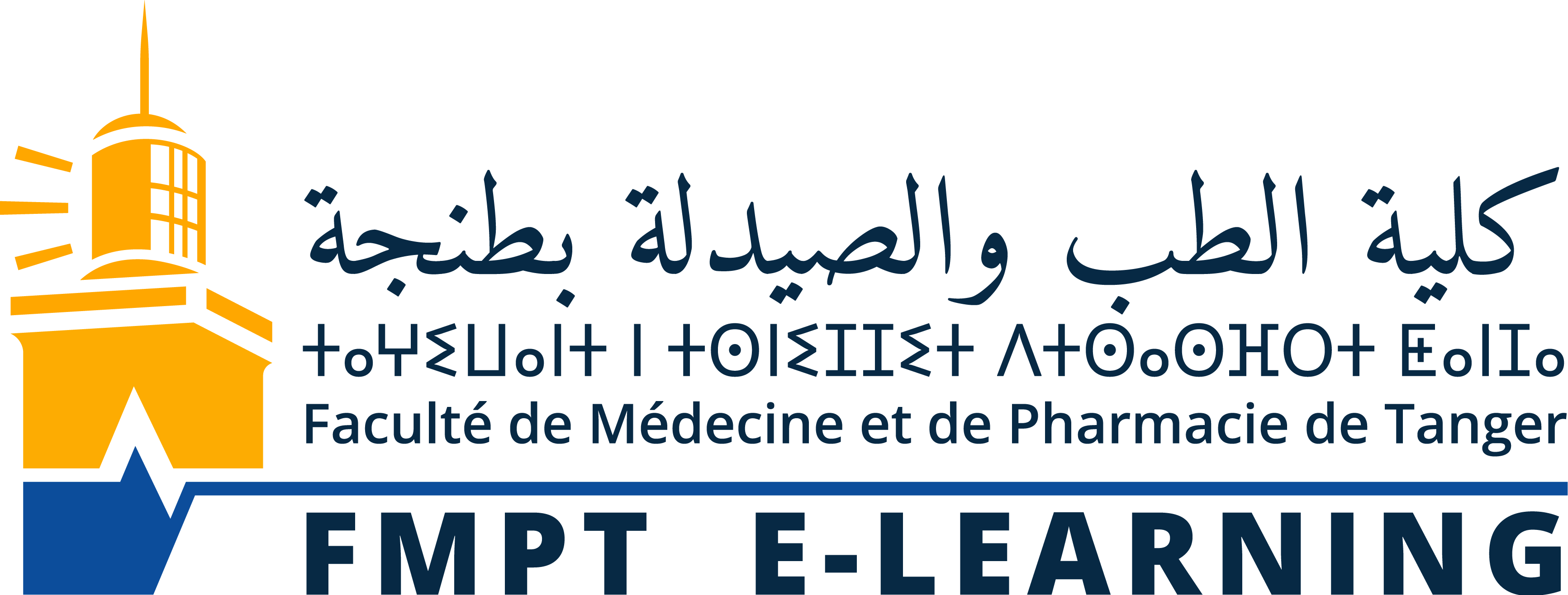 FMPT E-LEARNING